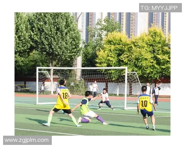 足球育魂：在绿茵场上锻造团队精神与个人品格的完美结合