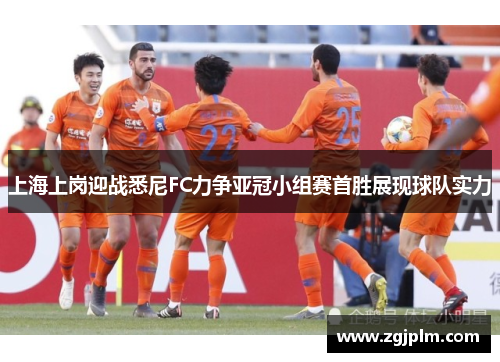上海上岗迎战悉尼FC力争亚冠小组赛首胜展现球队实力