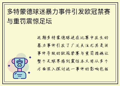 多特蒙德球迷暴力事件引发欧冠禁赛与重罚震惊足坛
